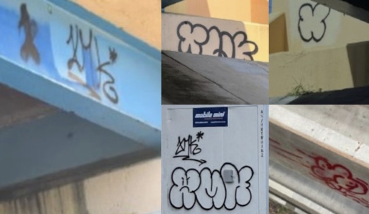 Deerfield Beach Police Seek Public Help to Catch Vandals, Offer $5,000 Reward