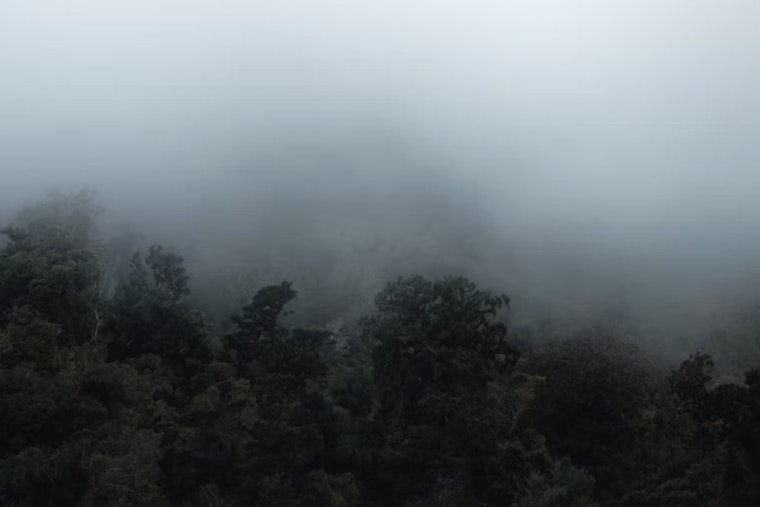 Dense Fog Advisory Issued for Milwaukee and Surrounding Counties as Clear Skies Expected After Morning Mist
