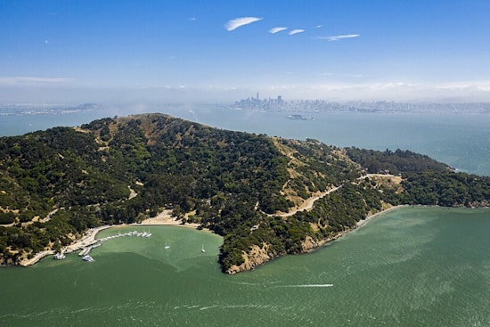 VIDEO: Coyote Swimming in the Bay Likely from Pack that Fixed Many Angel Island Issues