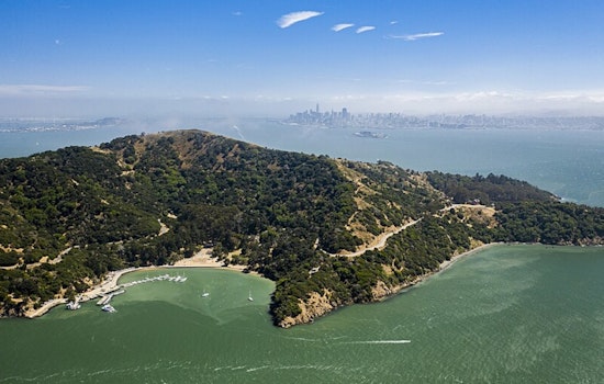 VIDEO: Coyote Swimming in the Bay Likely from Pack that Fixed Many Angel Island Issues