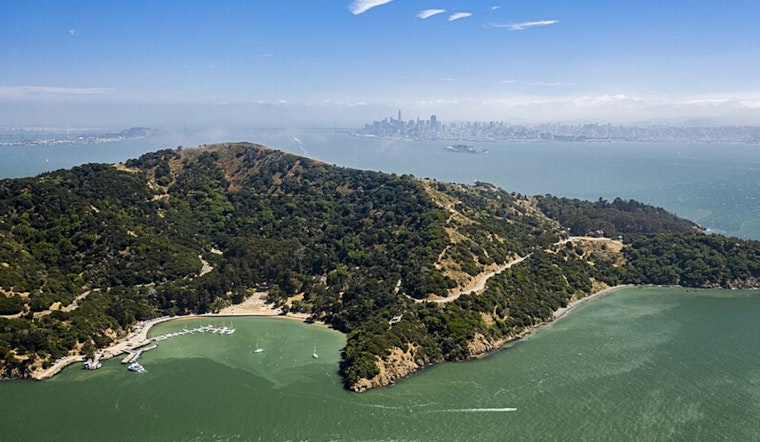 VIDEO: Coyote Swimming in the Bay Likely from Pack that Fixed Many Angel Island Issues