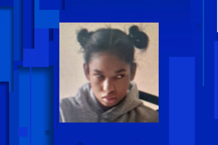 Detroit Community Urged to Aid in Search for Missing 15-Year-Old Ay’yaire Brown