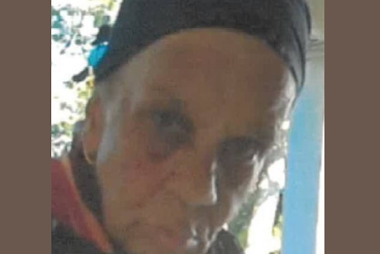 Detroit Police Seek Assistance in Locating Missing 74-Year-Old with Dementia and Schizophrenia