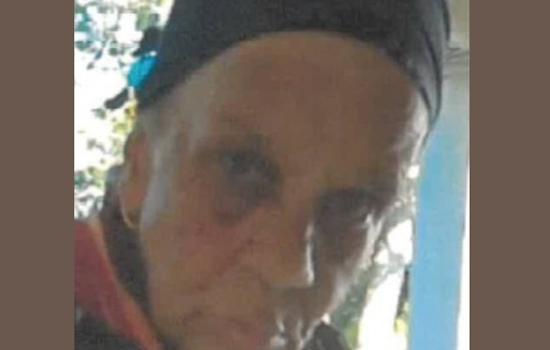 Detroit Police Seek Assistance in Locating Missing 74-Year-Old with Dementia and Schizophrenia