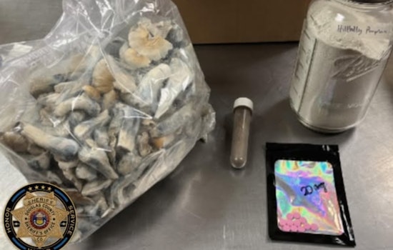 Douglas County Deputies Arrest Impaired Driver, Uncover Narcotics Suggesting Intent to Distribute