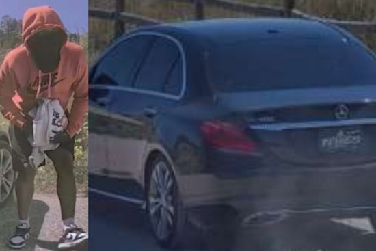 Douglas County Sheriff's Office Seeks Public's Help to Locate Suspect in Multiple Vehicle Trespasses