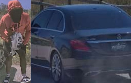 Douglas County Sheriff's Office Seeks Public's Help to Locate Suspect in Multiple Vehicle Trespasses