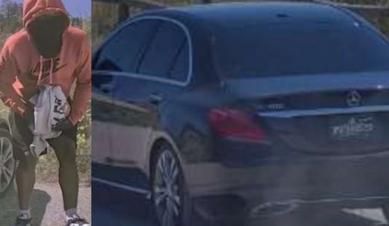 Douglas County Sheriff's Office Seeks Public's Help to Locate Suspect in Multiple Vehicle Trespasses
