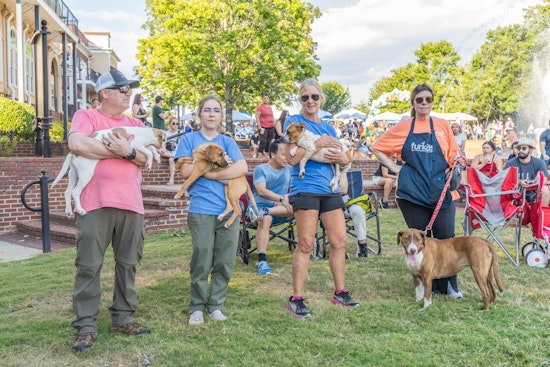 Duluth's Dogtoberfest 2025 Marks a Tail-Wagging Success with Community Fun and Furry Friends