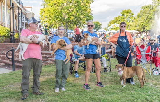 Duluth's Dogtoberfest 2025 Marks a Tail-Wagging Success with Community Fun and Furry Friends