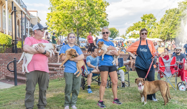 Duluth's Dogtoberfest 2025 Marks a Tail-Wagging Success with Community Fun and Furry Friends
