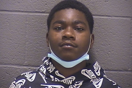 Durham Dog Shot While Protecting Owners in Armed Robbery as Suspect Isiah Holeman Faces Charges