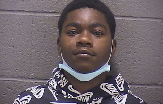 Durham Dog Shot While Protecting Owners in Armed Robbery as Suspect Isiah Holeman Faces Charges