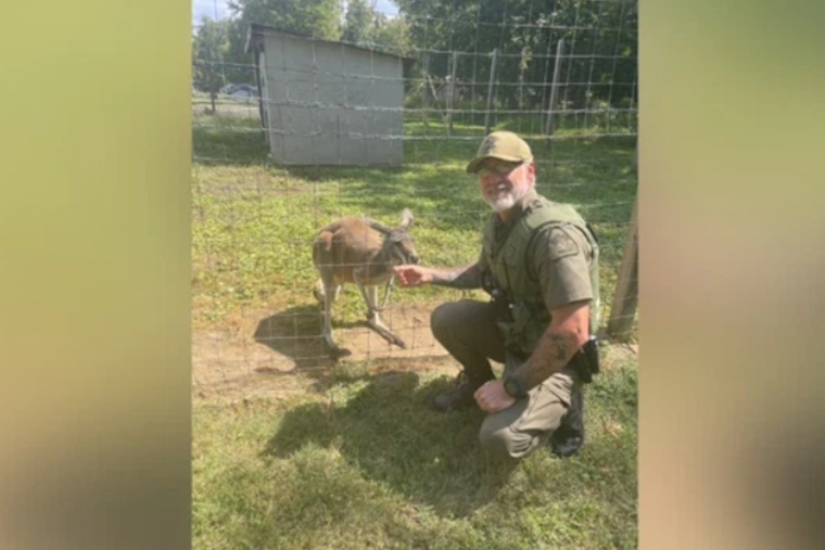 Edgewater Home Gets Bouncy Visitor: Kangaroo Encounter Leads to Review of Exotic Pet Ownership Laws