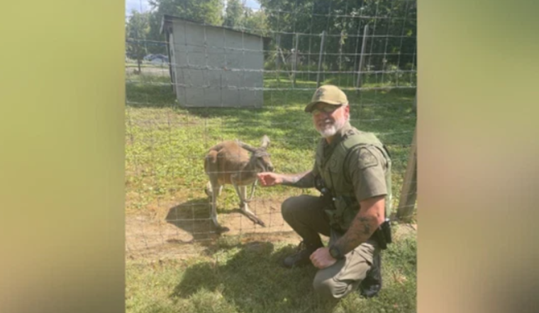Edgewater Home Gets Bouncy Visitor: Kangaroo Encounter Leads to Review of Exotic Pet Ownership Laws