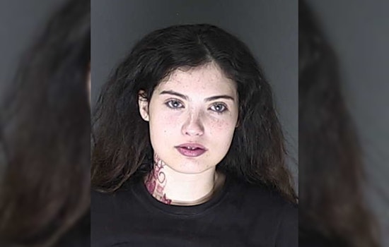 El Paso County Apartment Complex Scene of Violent Break-in, One Adult and Three Juveniles Involved