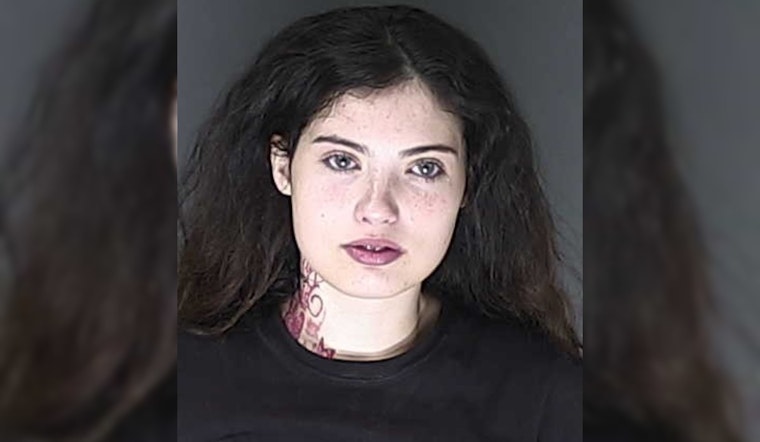 El Paso County Apartment Complex Scene of Violent Break-in, One Adult and Three Juveniles Involved