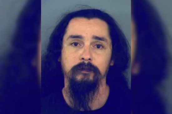 El Paso Man Charged for Stabbing Dog, Sparking Outcry Against Animal Cruelty