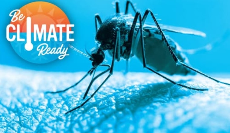 El Paso Officials Urge Residents to Employ "Four Ds" Strategy Against Mosquito Onslaught