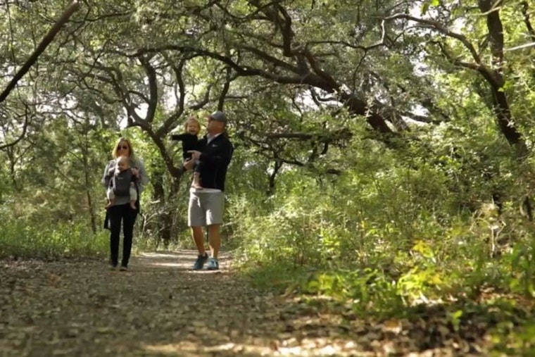 Embrace Autumn's Charm in Boerne, Texas with Outdoor Activities from Hiking to Picnics