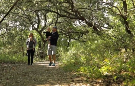 Embrace Autumn's Charm in Boerne, Texas with Outdoor Activities from Hiking to Picnics