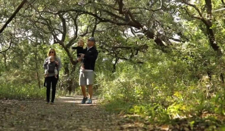 Embrace Autumn's Charm in Boerne, Texas with Outdoor Activities from Hiking to Picnics