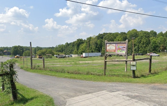 Escaped Monkey from Zootastic Park in Troutman Struck by Vehicle, Condition Uncertain