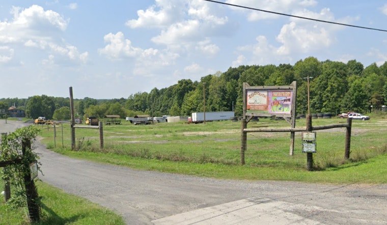 Escaped Monkey from Zootastic Park in Troutman Struck by Vehicle, Condition Uncertain