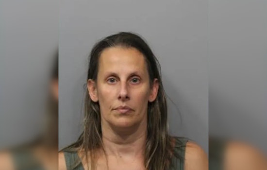 Ex-Arlington Heights School Nurse Sentenced for Misusing Students' Medication, Faces Civil Lawsuit Alongside District 25