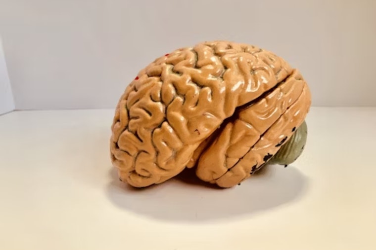 Experts Demystify CTE Amid Football Season: Ohio University News Shines Light on Diagnosis Challenges
