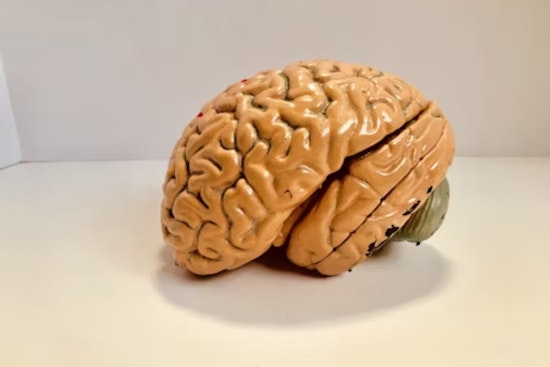 Experts Demystify CTE Amid Football Season: Ohio University News Shines Light on Diagnosis Challenges