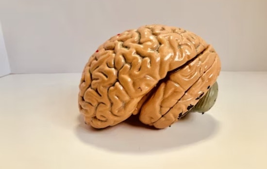 Experts Demystify CTE Amid Football Season: Ohio University News Shines Light on Diagnosis Challenges