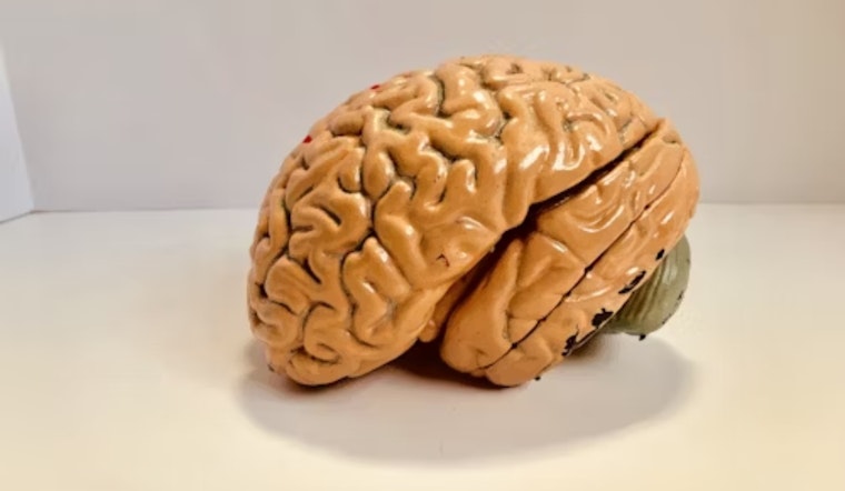 Experts Demystify CTE Amid Football Season: Ohio University News Shines Light on Diagnosis Challenges