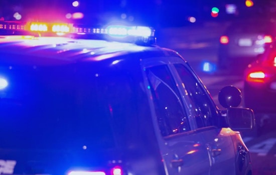 Fairfield Police Apprehend Suspect for Burglary and Vandalism in Beck Avenue Incident