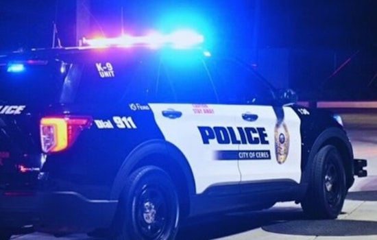Fatal Shooting at Howard Johnson Inn in Ceres, Woman Arrested for Murder of Longtime Partner