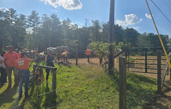 Fentress County Authorities Rescue 27 Malnourished Horses and Ponies Amid Neglect Investigation