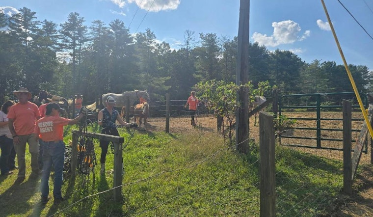 Fentress County Authorities Rescue 27 Malnourished Horses and Ponies Amid Neglect Investigation