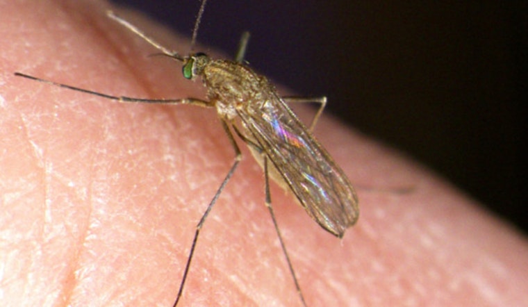 First Human Case of West Nile Virus Confirmed in Middlesex County, Massachusetts as State Cautions Against Mosquito-Borne Risks