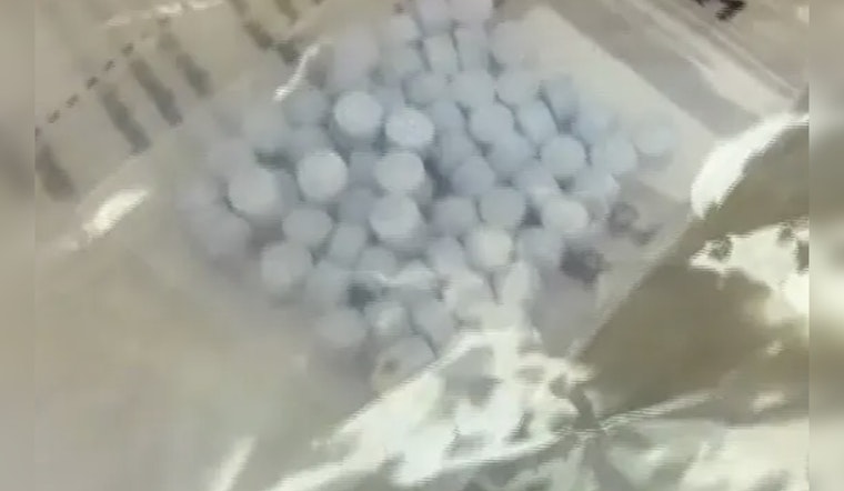 First Seizure of Ultra-Potent Nitazene Opioid in Long Island Raid as Hicksville Man Faces Narcotics and Weapons Charges