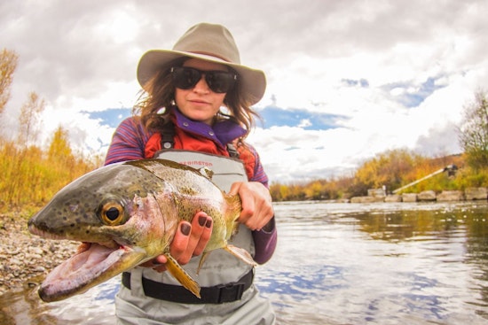 Fishing Ban Lifted on Yampa River Near Steamboat Springs, CPW Advises Anglers as Voluntary Closures Remain on Other Colorado Rivers