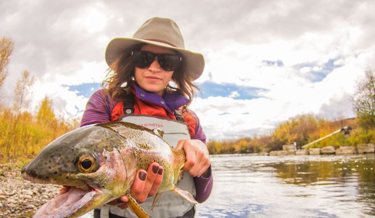 Fishing Ban Lifted on Yampa River Near Steamboat Springs, CPW Advises Anglers as Voluntary Closures Remain on Other Colorado Rivers