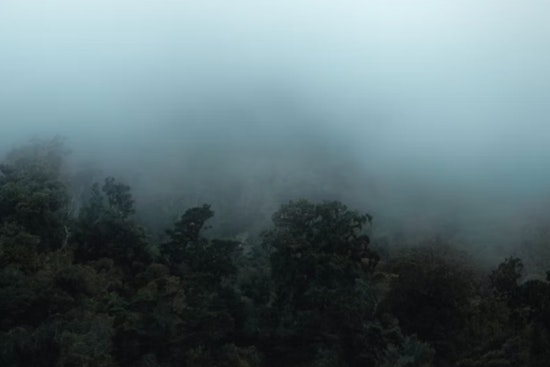 Fog Advisory in Effect for Milwaukee Area, Visibility Drops in Sheboygan to Ozaukee Counties