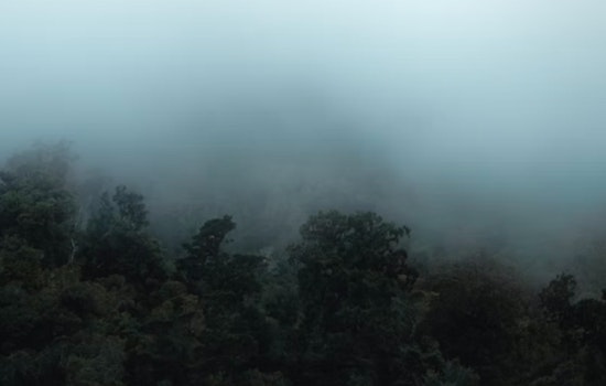 Fog Advisory in Effect for Milwaukee Area, Visibility Drops in Sheboygan to Ozaukee Counties