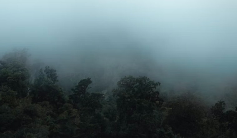 Fog Advisory in Effect for Milwaukee Area, Visibility Drops in Sheboygan to Ozaukee Counties