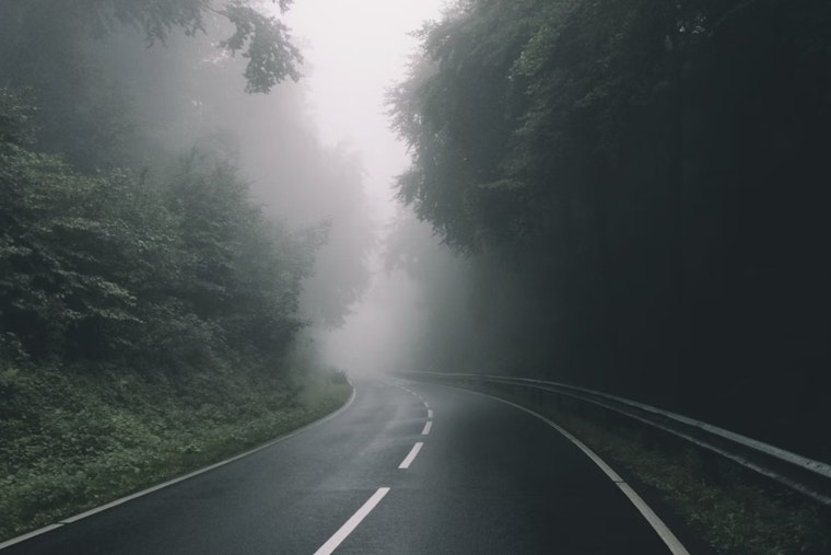 Foggy Start to Clear as Raleigh-Durham Anticipates Mild Weather Week Ahead
