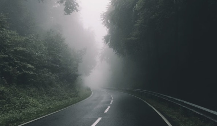 Foggy Start to Clear as Raleigh-Durham Anticipates Mild Weather Week Ahead