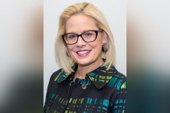 Former Senator Kyrsten Sinema Acquires $2 Million Desert Oasis in Cave Creek, Arizona