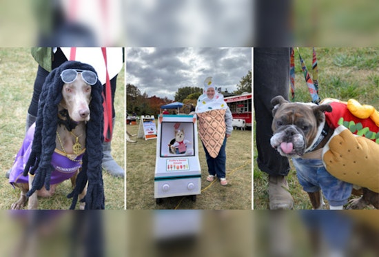 Howl-O-Ween Festivities Unleashed at Wolfe Park: Canine Costumes, Treats, and Family Fun Await! 