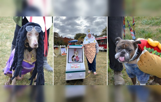 Howl-O-Ween Festivities Unleashed at Wolfe Park: Canine Costumes, Treats, and Family Fun Await!