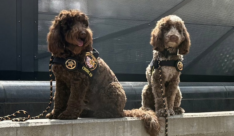Franklin County's Crisis K9s Titus and Scooby Support Minneapolis Community Following School Shooting